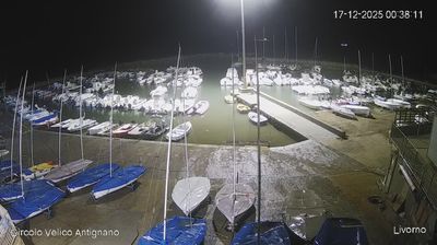 immagine della webcam nei dintorni di Pisa: webcam Livorno