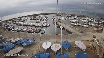 immagine della webcam nei dintorni di San Rossore: webcam Livorno