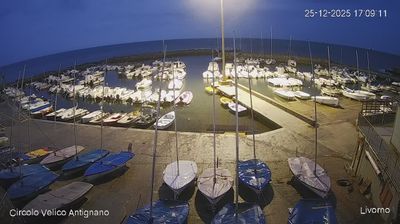 immagine della webcam nei dintorni di San Rossore: webcam Livorno
