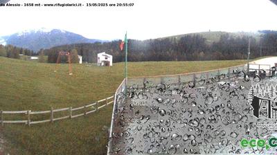 webcam