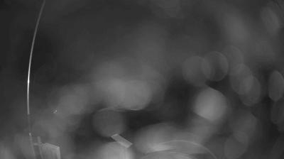 immagine della webcam nei dintorni di Mercato: webcam Verghereto