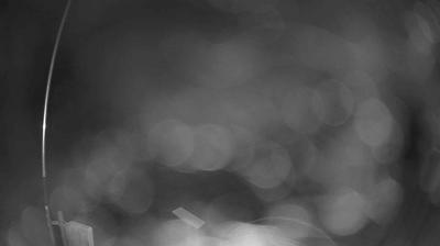 immagine della webcam nei dintorni di Carpegna: webcam Verghereto