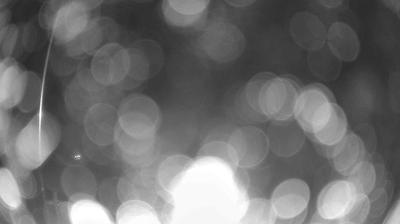 immagine della webcam nei dintorni di Carpegna: webcam Verghereto