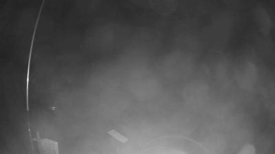 immagine della webcam nei dintorni di Portico e San Benedetto: webcam Verghereto