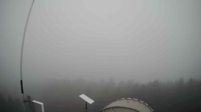 immagine della webcam nei dintorni di Sansepolcro: webcam Verghereto