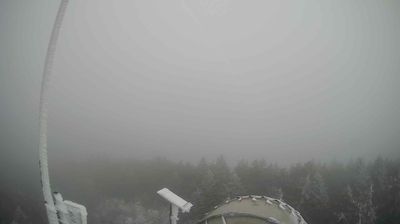 immagine della webcam nei dintorni di Mercato: webcam Verghereto