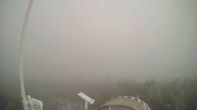 immagine della webcam nei dintorni di Ortignano Raggiolo: webcam Verghereto