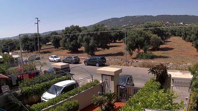 Preview delle webcam di Fasano