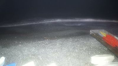 immagine della webcam nei dintorni di Santa Margherita Ligure: webcam Sori