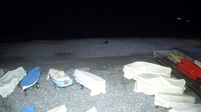 immagine della webcam nei dintorni di Camogli: webcam Sori