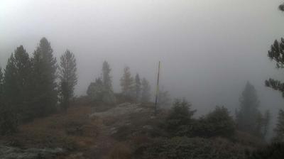 immagine della webcam nei dintorni di Alpe Cermis: webcam Palù del Fersina