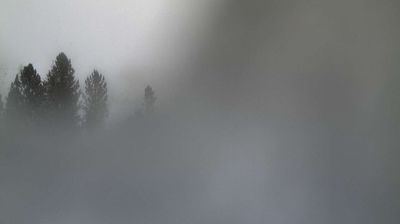 immagine della webcam nei dintorni di Baselga di Pinè: webcam Palù del Fersina