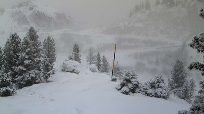 immagine della webcam nei dintorni di Castello Tesino: webcam Palù del Fersina