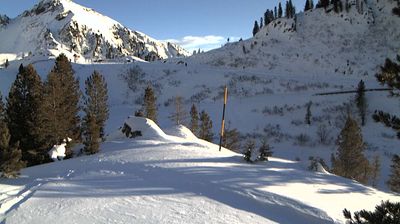 immagine della webcam nei dintorni di Cavalese: webcam Palù del Fersina