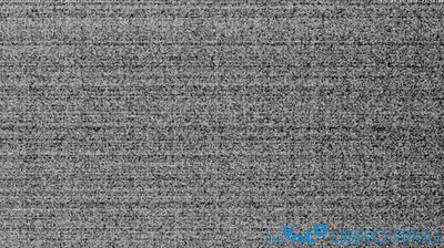 immagine della webcam nei dintorni di Cercivento: webcam Bordano