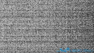 immagine della webcam nei dintorni di Enemonzo: webcam Bordano