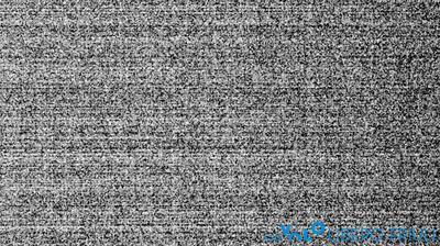 immagine della webcam nei dintorni di Sella Nevea: webcam Bordano