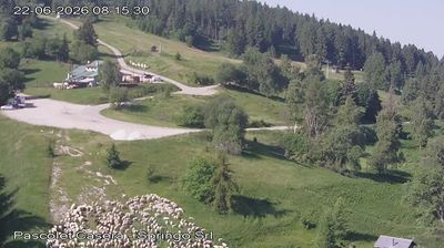 immagine della webcam nei dintorni di Belluno: webcam Nevegal
