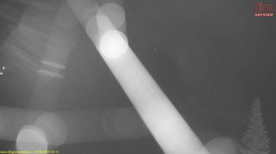 immagine della webcam nei dintorni di Albaredo per San Marco: webcam Rifugio Falc