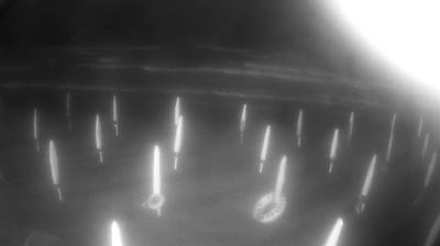 immagine della webcam nei dintorni di Pomezia: webcam Tor San Lorenzo