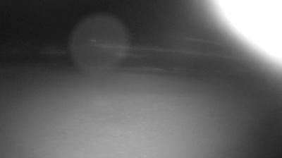 immagine della webcam nei dintorni di Genzano di Roma: webcam Tor San Lorenzo