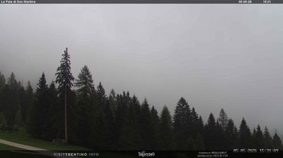 immagine della webcam nei dintorni di Passo di Cereda: webcam Pale di San Martino
