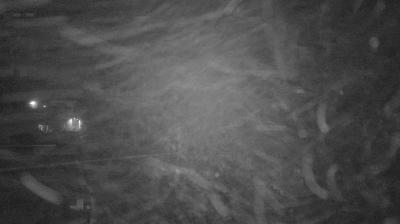 immagine della webcam nei dintorni di Piane di Mocogno: webcam Lama Mocogno