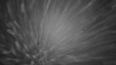 immagine della webcam nei dintorni di Sestola: webcam Lama Mocogno