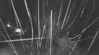 immagine della webcam nei dintorni di Sant'Annapelago: webcam Piane di Mocogno