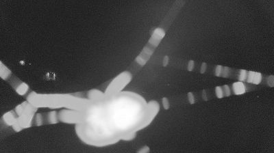 immagine della webcam nei dintorni di Lizzano in Belvedere: webcam Lama Mocogno