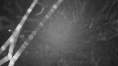 immagine della webcam nei dintorni di Castel d'Aiano: webcam Lama Mocogno