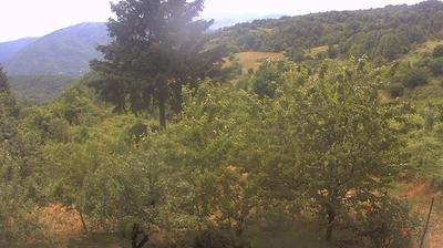 immagine della webcam nei dintorni di Passo del Penice: webcam Cabella Ligure