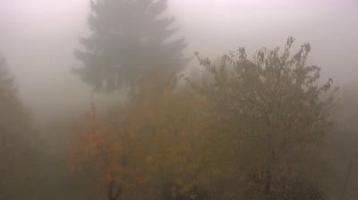 immagine della webcam nei dintorni di Carrosio: webcam Cabella Ligure