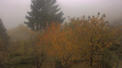 immagine della webcam nei dintorni di Caldirola: webcam Cabella Ligure