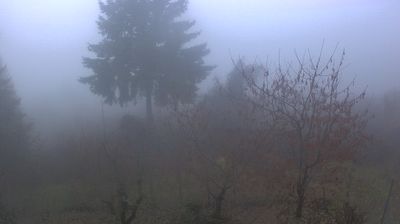 immagine della webcam nei dintorni di Cantalupo Ligure: webcam Cabella Ligure