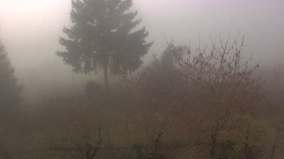 immagine della webcam nei dintorni di Carrosio: webcam Cabella Ligure