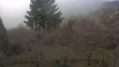 immagine della webcam nei dintorni di Brallo di Pregola: webcam Cabella Ligure