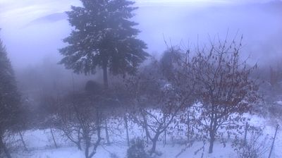 immagine della webcam nei dintorni di Rovegno: webcam Cabella Ligure