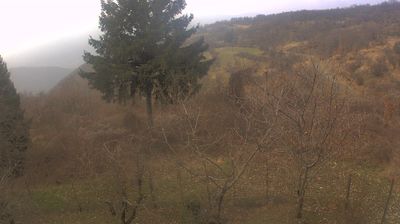 immagine della webcam nei dintorni di Propata: webcam Cabella Ligure