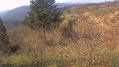 immagine della webcam nei dintorni di Rovegno: webcam Cabella Ligure