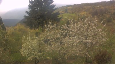 immagine della webcam nei dintorni di Cerignale: webcam Cabella Ligure