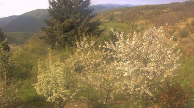 immagine della webcam nei dintorni di Brignano-Frascata: webcam Cabella Ligure