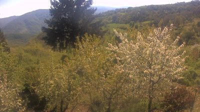 immagine della webcam nei dintorni di Passo del Penice: webcam Cabella Ligure