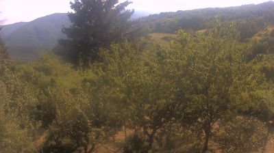 immagine della webcam nei dintorni di Passo del Penice: webcam Cabella Ligure