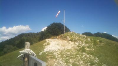 immagine della webcam nei dintorni di Galliate Lombardo: webcam Brenta
