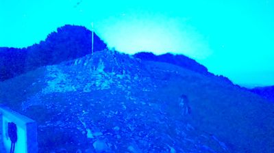 immagine della webcam nei dintorni di Galliate Lombardo: webcam Brenta