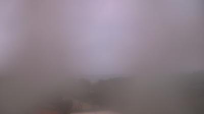 immagine della webcam nei dintorni di Castagneto Carducci: webcam Vada