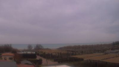 immagine della webcam nei dintorni di Marina di Bibbona: webcam Vada