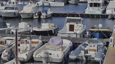 Preview delle webcam di Marciana Marina
