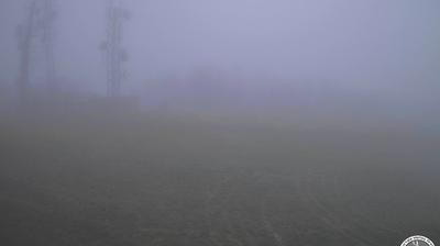 immagine della webcam nei dintorni di Mercato: webcam Caprese Michelangelo